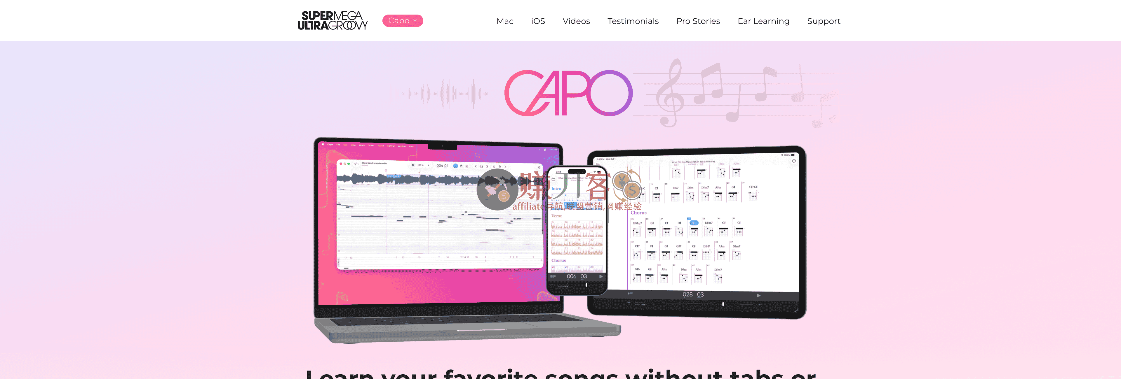 Capo