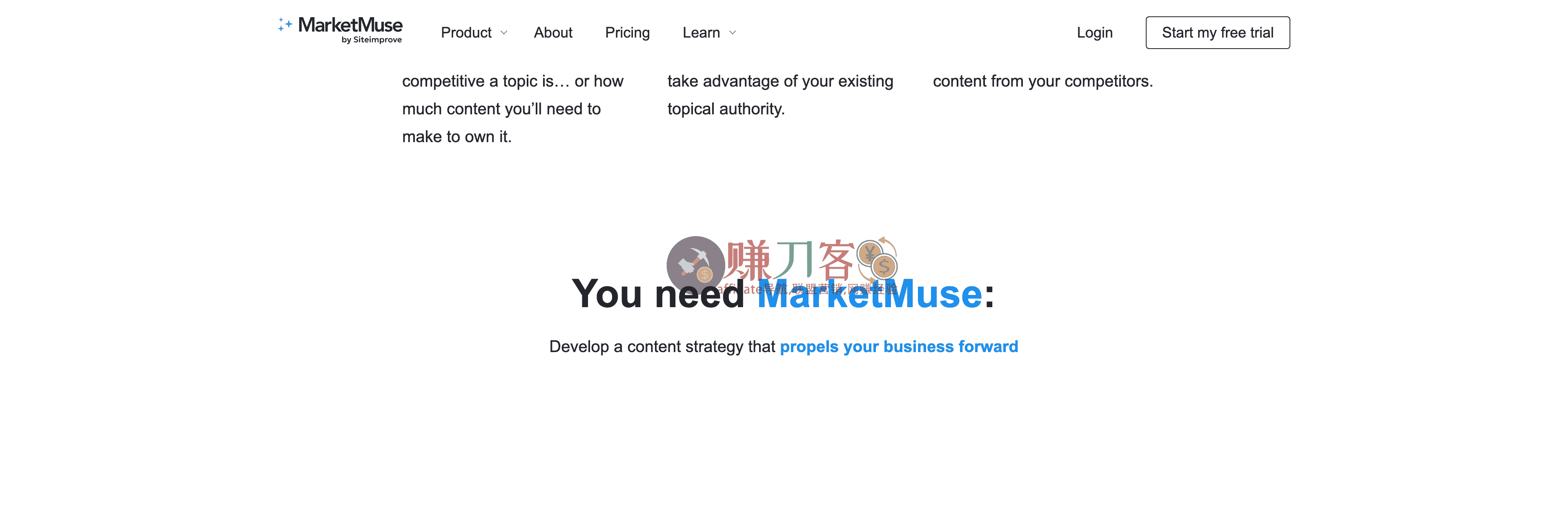 MarketMuse
