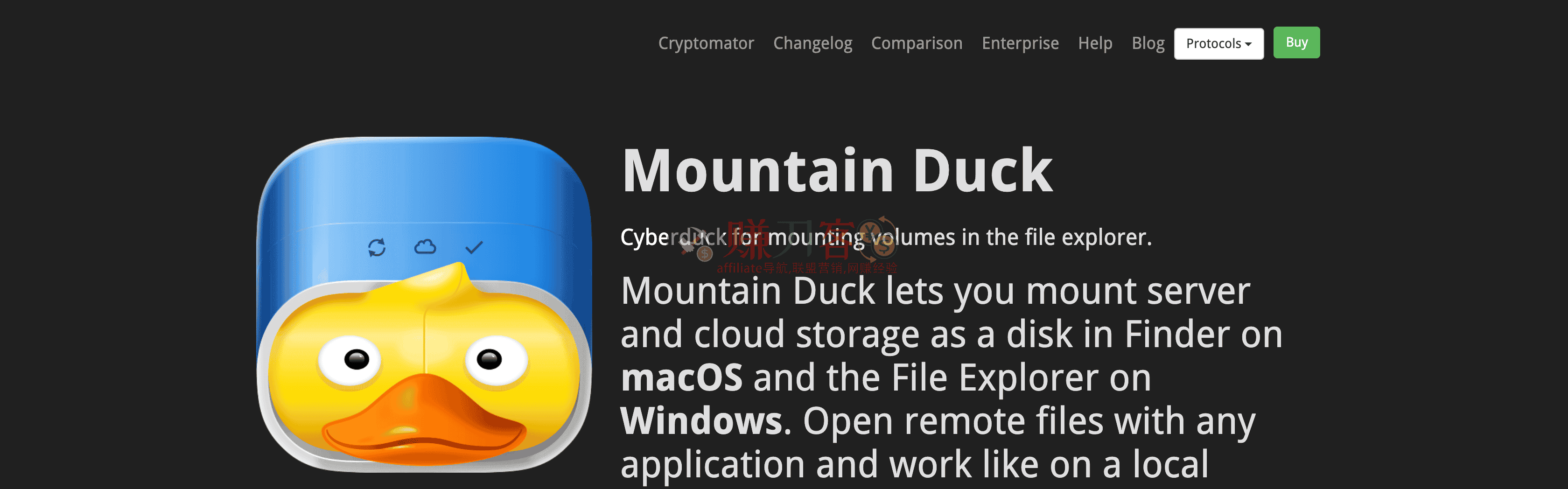 Mountain Duck