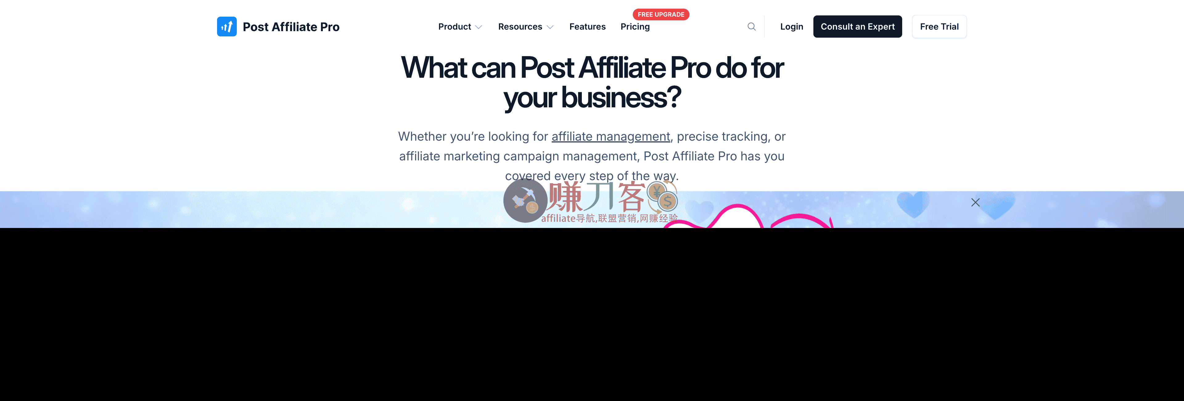 Post Affiliate Pro