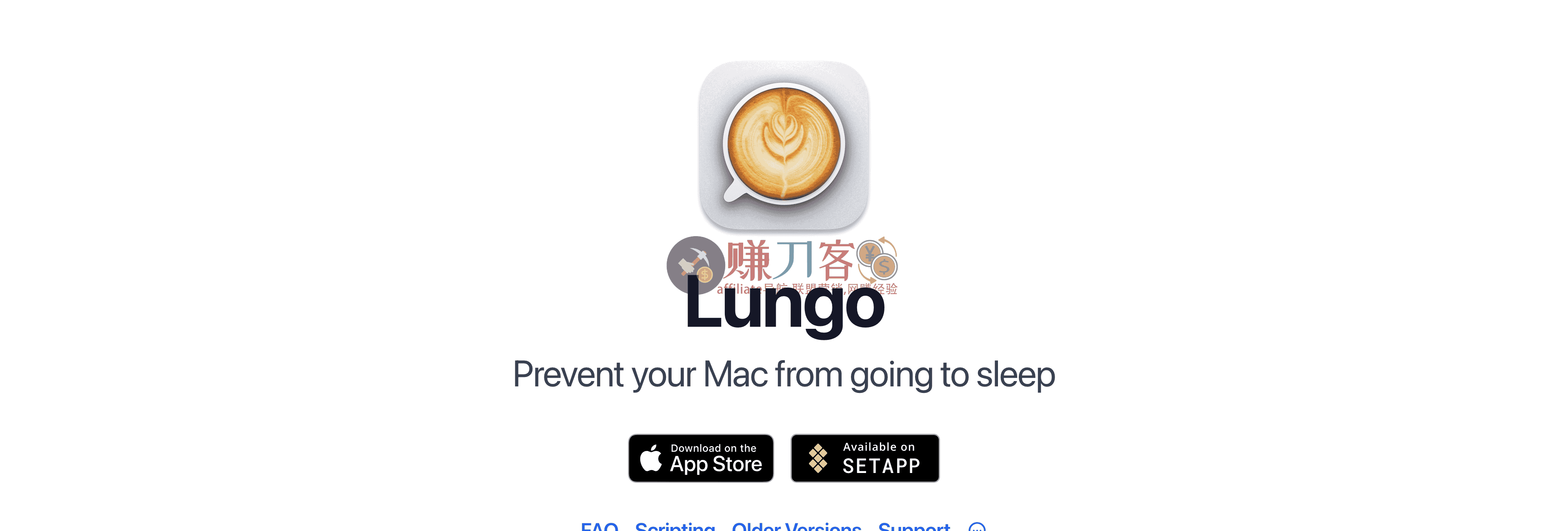 Lungo