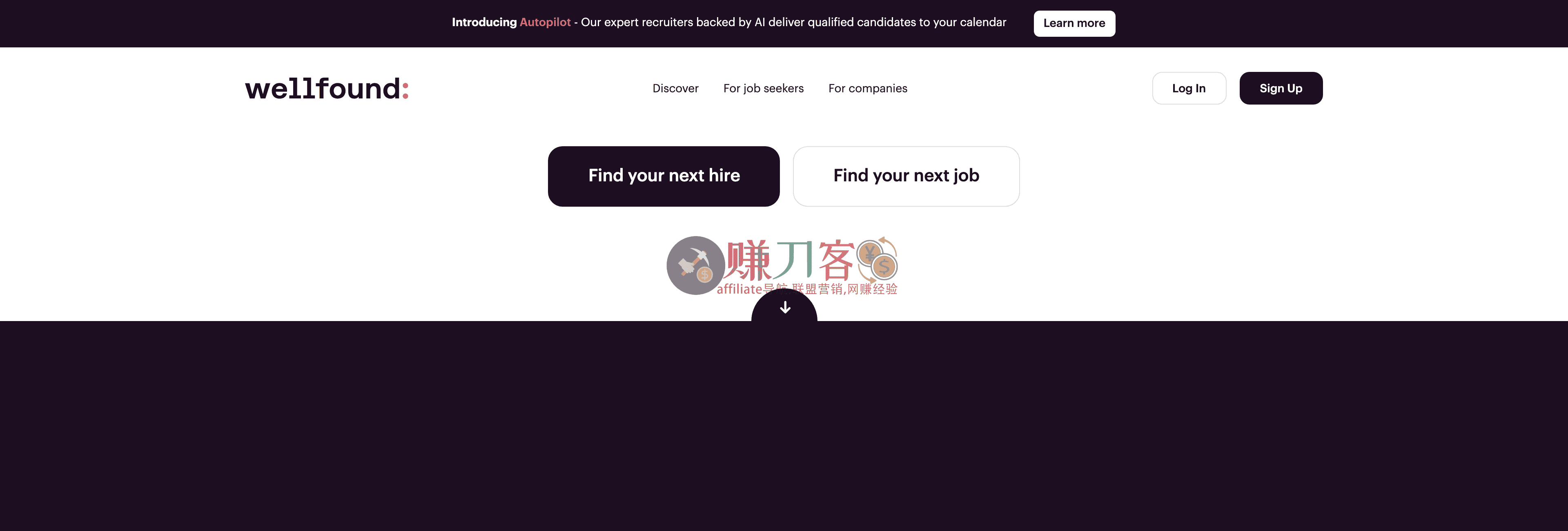 Wellfound (AngelList)