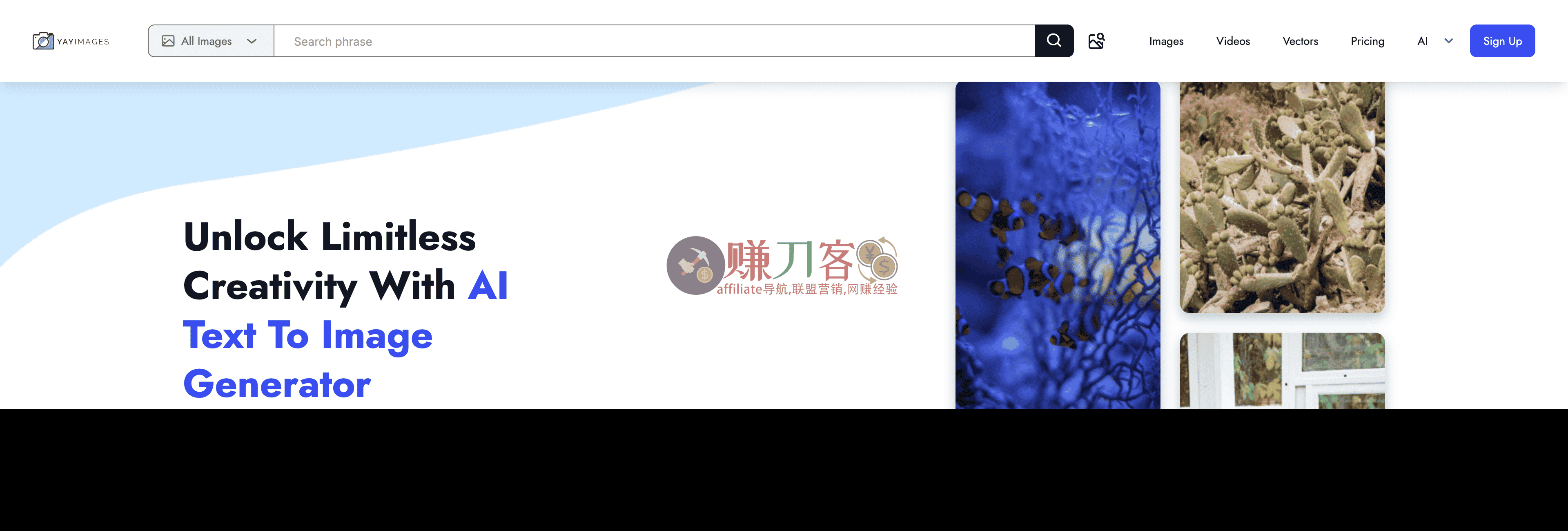 Yay Images